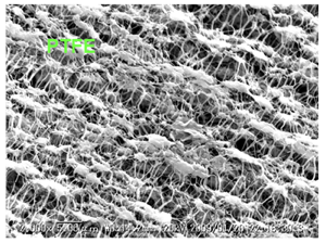 1655191875852143.png image.png