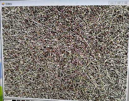 不锈钢烧结网放大图 不锈钢烧结网放大图